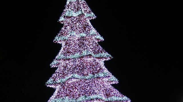 El árbol de la Navidad que adorna la Plaza España.
