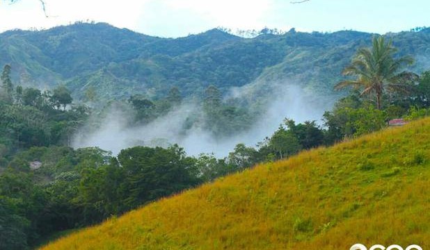 Vista de una reserva ecológica.