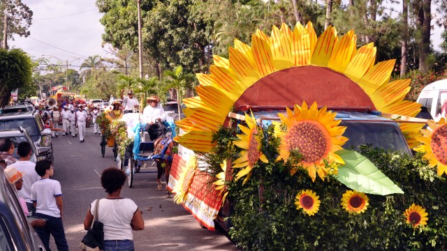 Desfile Festival de Las Flores, foto Alex Reynoso
