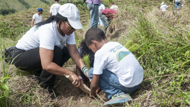 Empleada de Banreservas siembra un pino en Yamasá, como parte de la jornada de reforestación.  