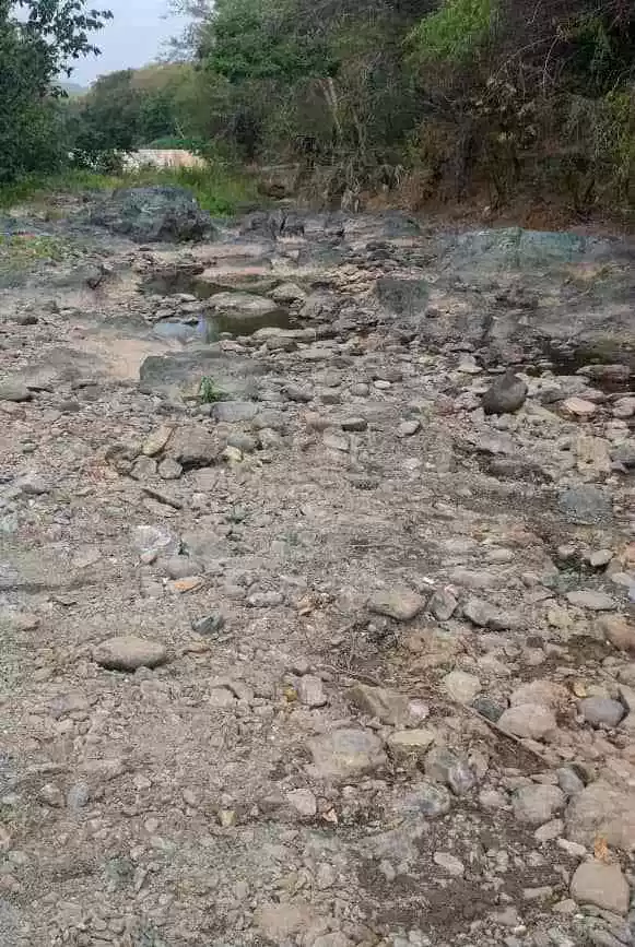 Deforestación en Santiago Rodríguez aniquila al Río Yaguajal ...