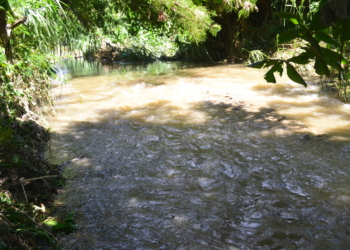 Aguas contaminadas del río Catalina.