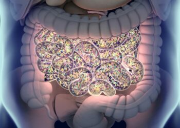 Investigadores de Cleveland Clinic, han demostrado por primera vez que las moléculas vinculadas a la dieta en el intestino están asociadas con el cáncer de próstata agresivo