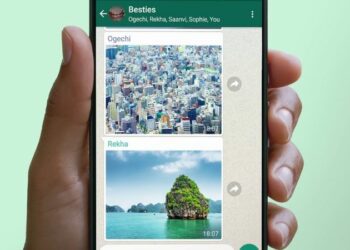 Whatsapp enviará la  imagen a Google para obtener más información sobre ella.

- WHATSAPP