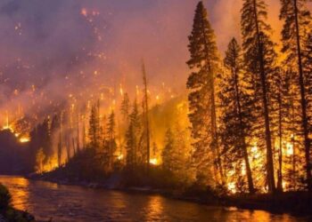 Los incendios forestales han castigado la provincia de Columbia Británica, en el oeste de Canadá. La Organización Meteorológica Mundial los destaca en la generación de gases de efecto invernadero, con una presencia creciente en la atmósfera y precipitando así el calentamiento del planeta. Imagen: Gobierno CB