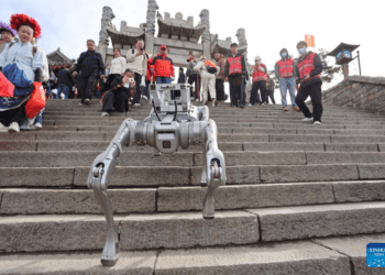 Perro robot suben y bajan el Monte Tai, de China.