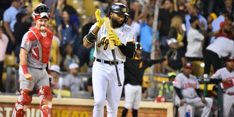 Guilas Cibae As Vencen A Leones En Un Juego De Carreras